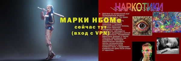 хмурый Абаза