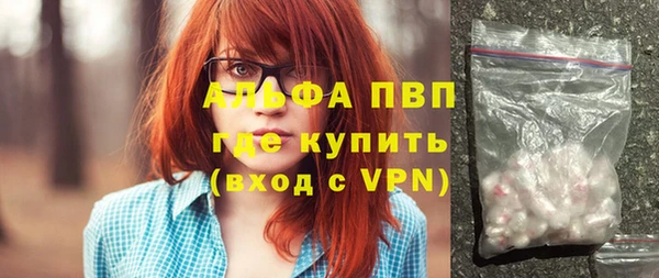 хмурый Абаза