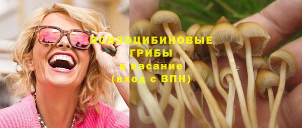 хмурый Абаза