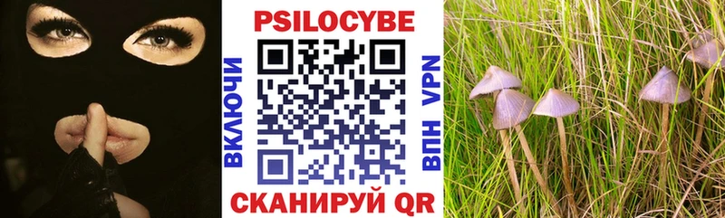 купить наркотик  Удомля  дарк нет Telegram  Галлюциногенные грибы MAGIC MUSHROOMS  ОМГ ОМГ зеркало 